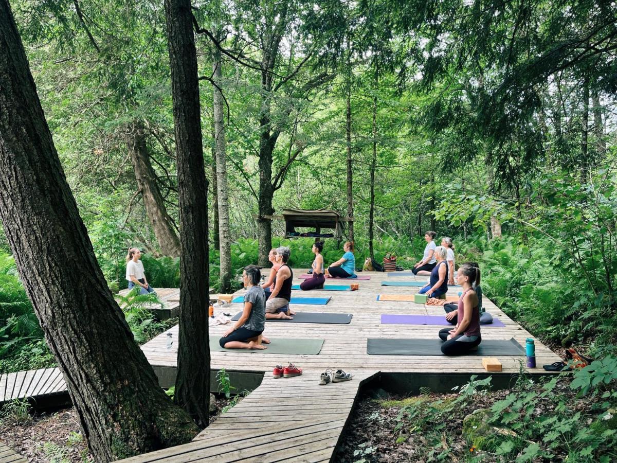 Auberge Yoga Salamandre Lac-Brome Extérieur photo